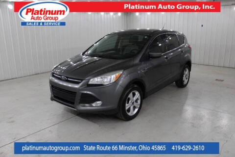 2014 Ford Escape for sale at Platinum Auto Group Inc. in Minster OH