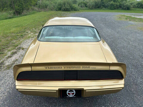 1980 Pontiac Firebird Trans Am