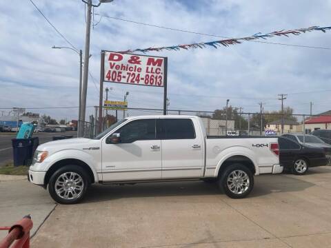 2011 Ford F-150 for sale at D & M Vehicle LLC in Oklahoma City OK
