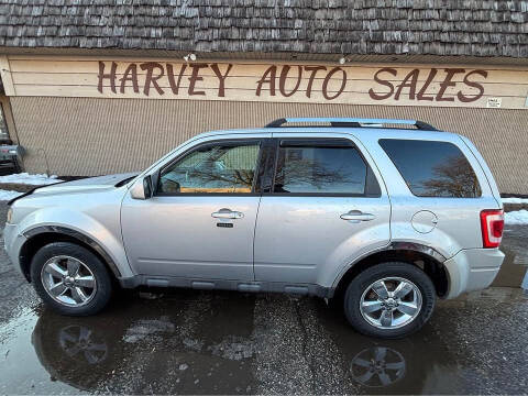 2011 Ford Escape Limited