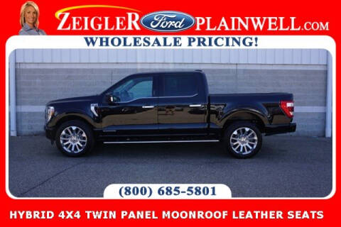2022 Ford F-150 for sale at Zeigler Ford of Plainwell - Avery Ziegler in Plainwell MI