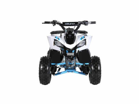 2025 Coolster 110cc 3050B2