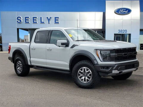 2023 Ford F-150 for sale at Seelye Truck Center of Paw Paw in Paw Paw MI