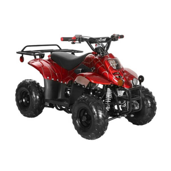 2025 Coolster 110cc 3050c