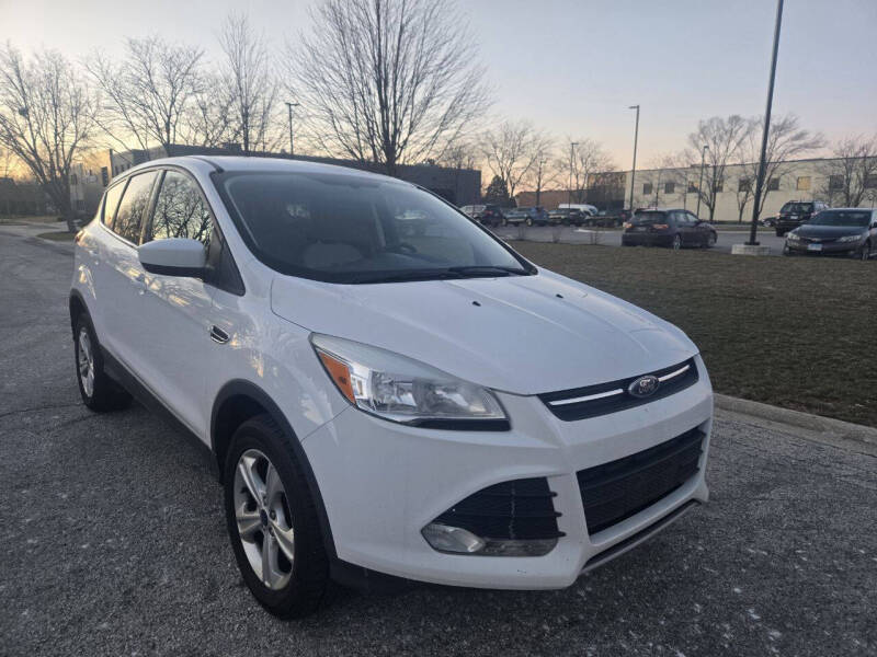 2014 Ford Escape for sale at Skyline Luxury Motors in Buffalo Grove IL