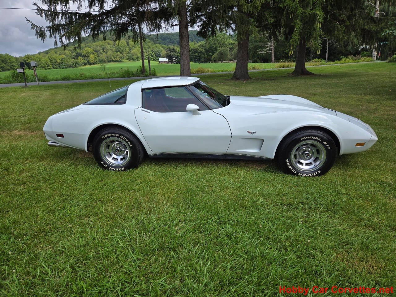 1979 Chevrolet Corvette 3
