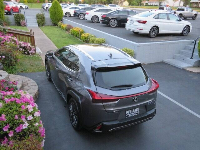 2019 Lexus UX 200 F SPORT