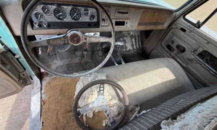 1965 Chevrolet C10