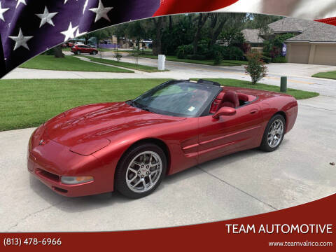 1998 Chevrolet Corvette for sale at TEAM AUTOMOTIVE in Valrico FL