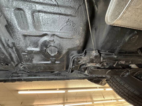 1981 Pontiac Firebird Trans Am