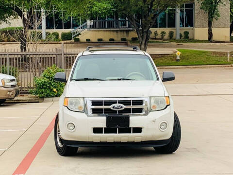 2011 Ford Escape XLT