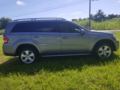 2010 Mercedes-Benz GL-Class GL 450 4MATIC