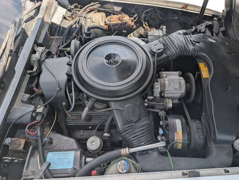 1979 Chevrolet Corvette