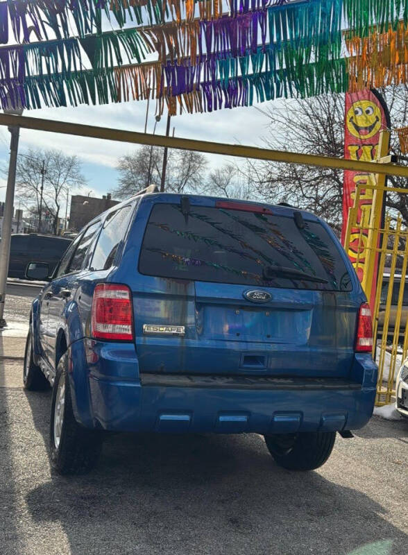 2011 Ford Escape XLT