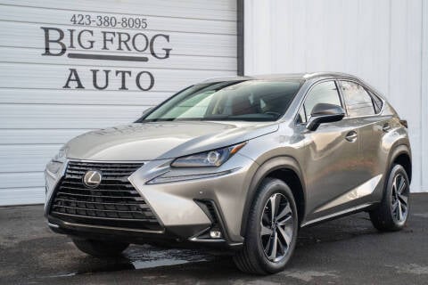 2020 Lexus NX 300 for sale at Big Frog Auto in Cleveland TN