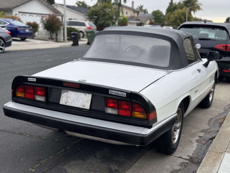 Image 4 of 1986 Alfa Romeo Spider Veloce