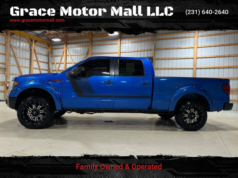 2014 Ford F-150 for sale at Grace Motor Mall LLC in Traverse City MI