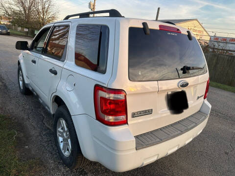 2008 Ford Escape Hybrid for sale at Luxury Cars Xchange in Lockport IL