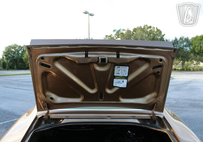 1978 Pontiac Firebird