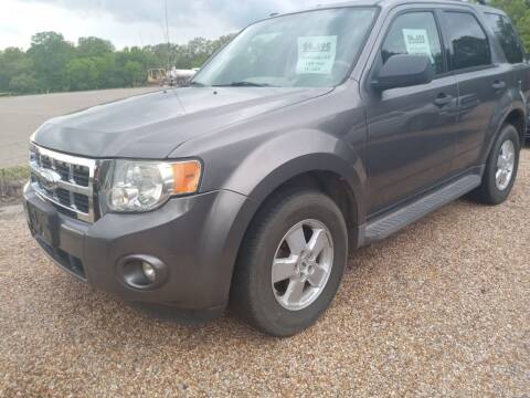 2009 Ford Escape for sale at NETWORK AUTO SALES in Mountain Home AR