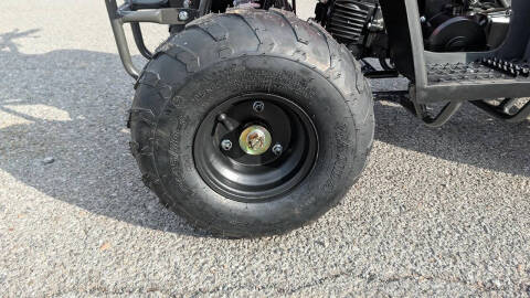 2024 TrailMaster Mini 110 Sport