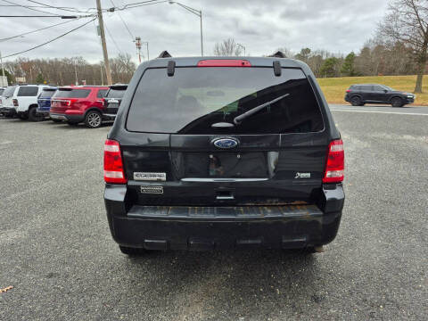 2011 Ford Escape XLT