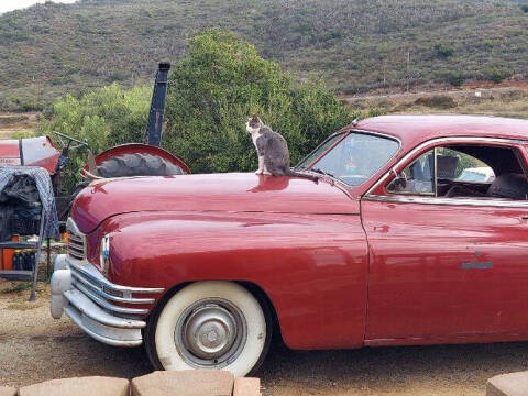 1949 Packard Deluxe 8