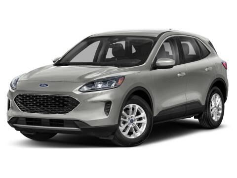 2022 Ford Escape for sale at BORGMAN OF HOLLAND LLC in Holland MI