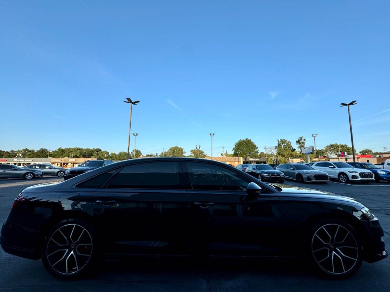 2020 Audi S8 for sale at Opus Motorcars in Utica, MI