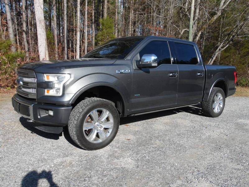 2015 Ford F-150 Platinum's photo