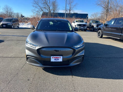 2021 Ford Mustang Mach-E Select