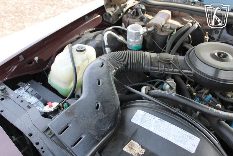 1979 Chevrolet Caprice