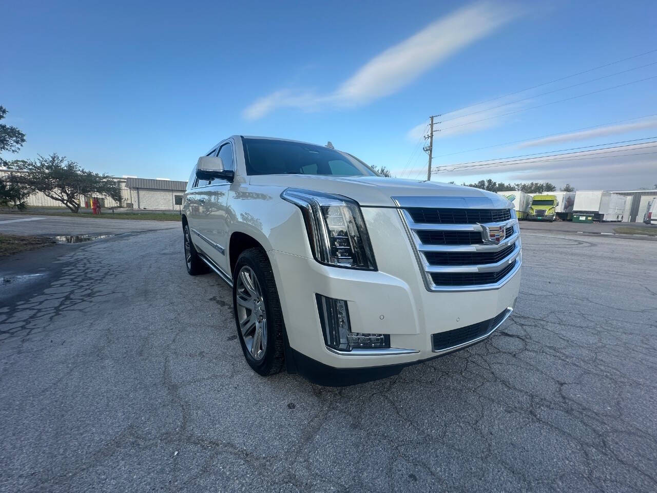 2015 Cadillac Escalade for sale at Rubi Motorsports in Sarasota, FL