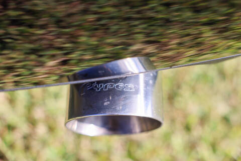 2009 Ford Shelby GT500