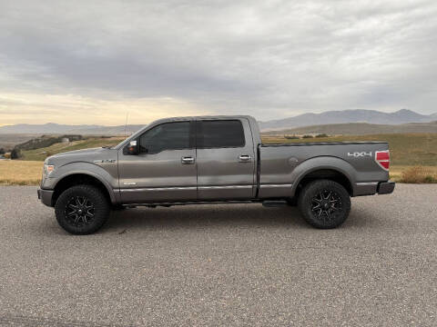 2013 Ford F-150 Platinum