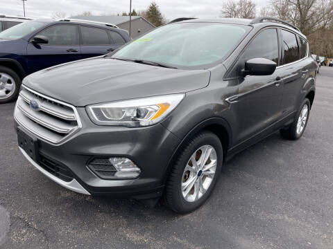 2017 Ford Escape for sale at Blake Hollenbeck Auto Sales in Greenville MI