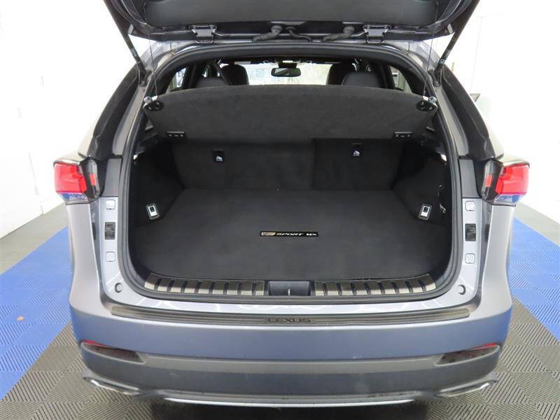 2019 Lexus NX 300 F SPORT