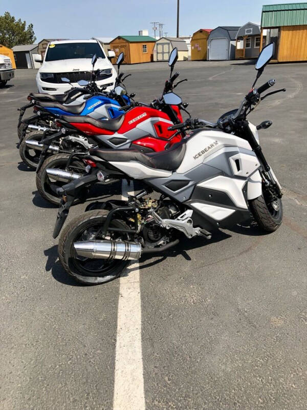 2022 DAIX ICE BEAR MINI MAX 50cc