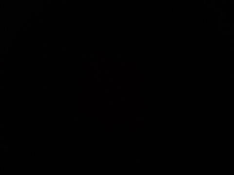 2019 Lexus NX 300 F SPORT