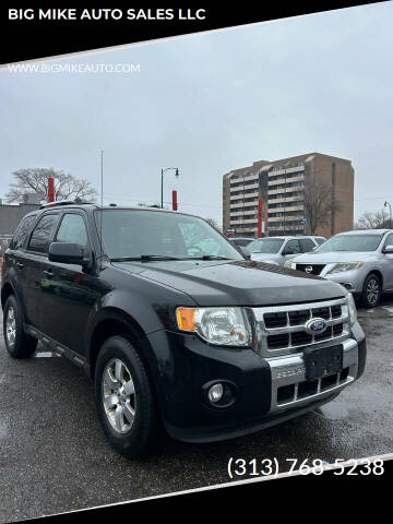 2010 Ford Escape for sale at BIG MIKE AUTO SALES LLC in Lincoln Park MI