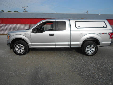 2019 Ford F-150 for sale at KNOBEL AUTO SALES, LLC in Corning AR