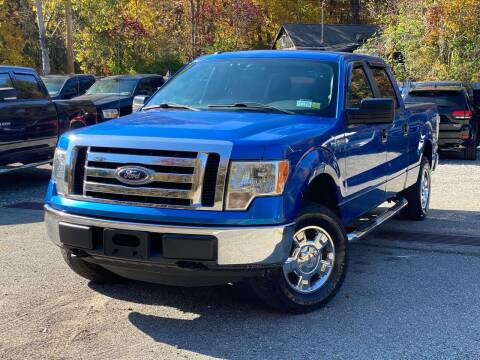 2012 Ford F-150 for sale at AMA Auto Sales LLC in Ringwood NJ