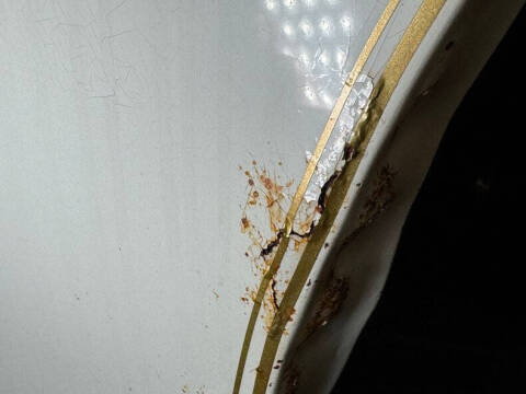 1980 Pontiac Firebird