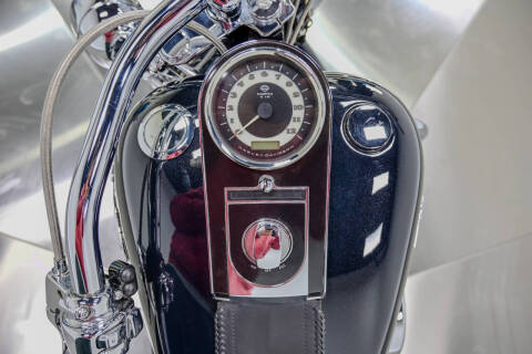 2009 Harley-Davidson FLTSN