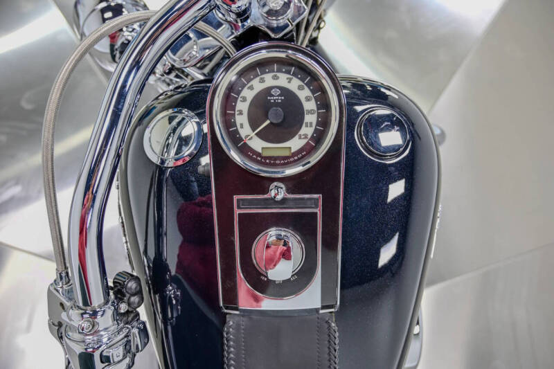 2009 Harley-Davidson FLTSN