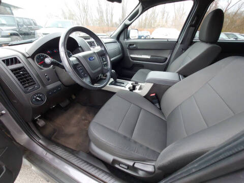 2010 Ford Escape XLT