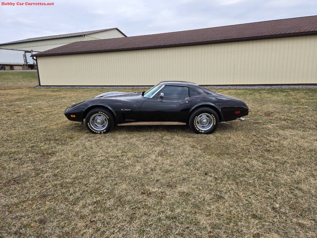 1975 Chevrolet Corvette 3