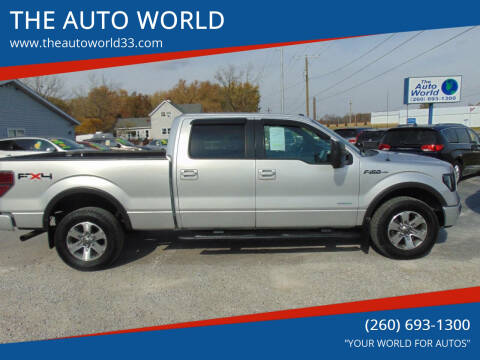 2011 Ford F-150 for sale at THE AUTO WORLD in Churubusco IN