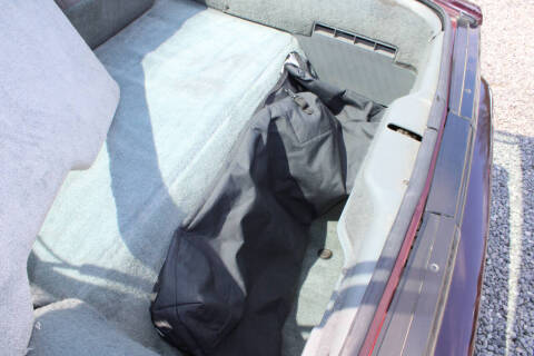 1985 Pontiac Firebird Trans Am