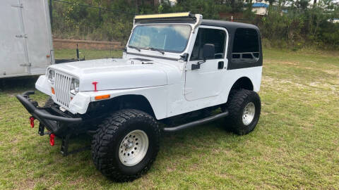 1993 Jeep Wrangler for sale at AMG Automotive Group in Cumming GA